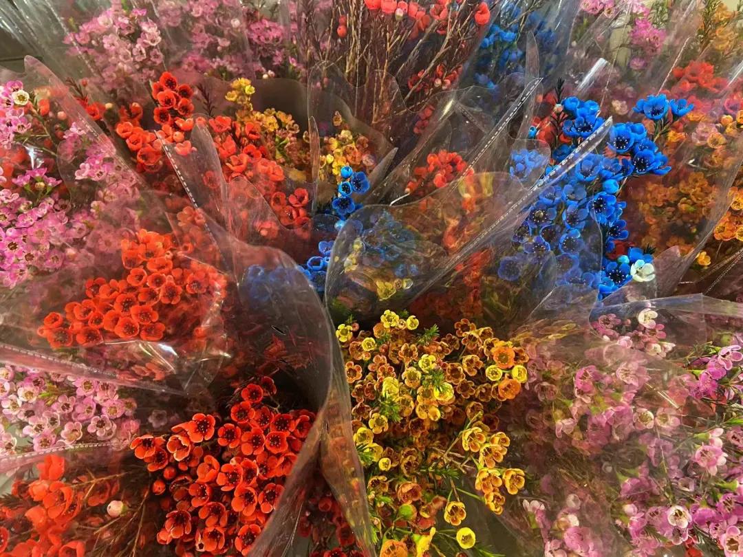 广州芳村花卉市场开市,广州岭南花卉天光墟开市时间