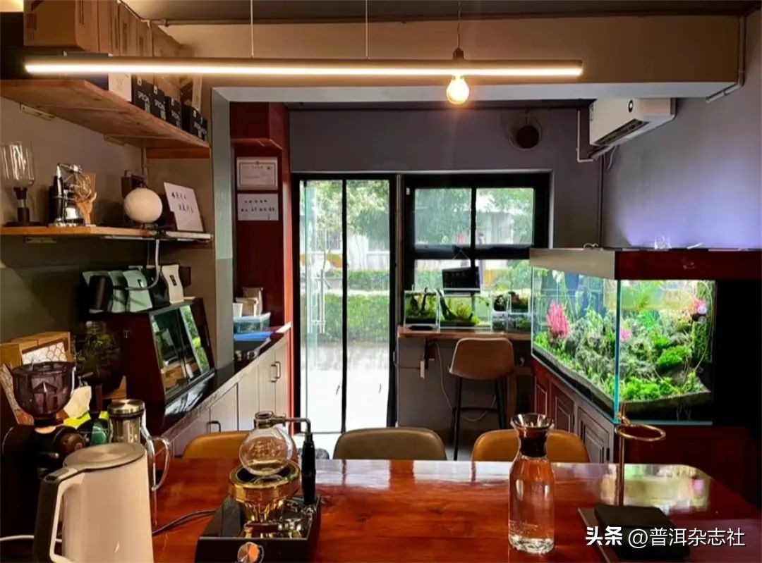 普洱市咖啡店推荐,普洱咖啡店推荐第一名