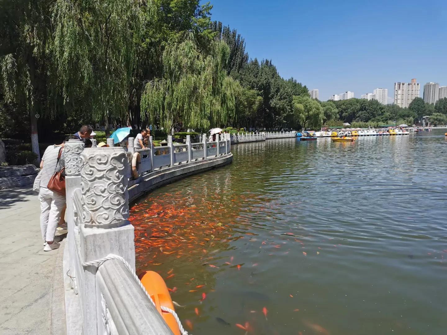 西宁印象旅行社,西宁印象摄影工作室