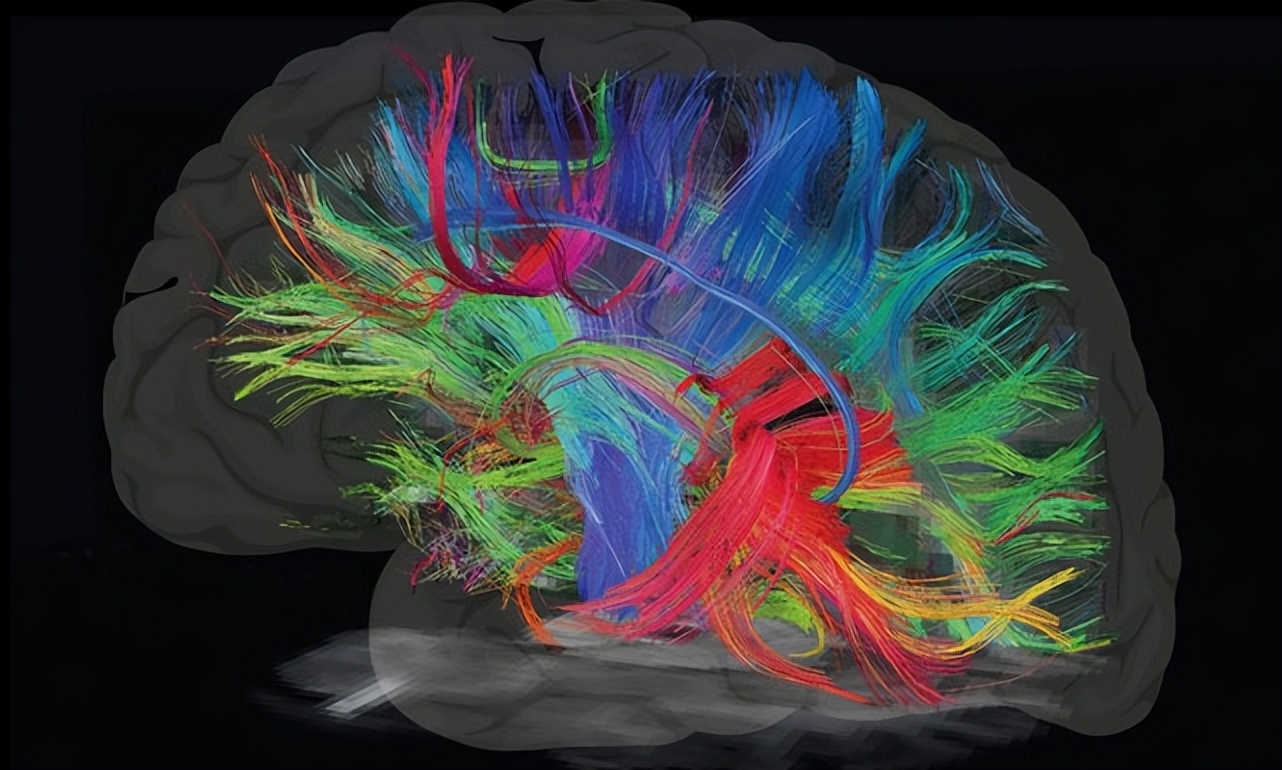 手术治疗精神分裂症哪家医院好,手术治疗精神分裂症成功案例