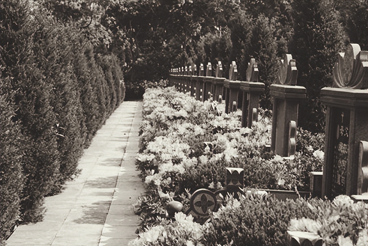 陈子美是怎么去世的,陈独秀之女陈子美