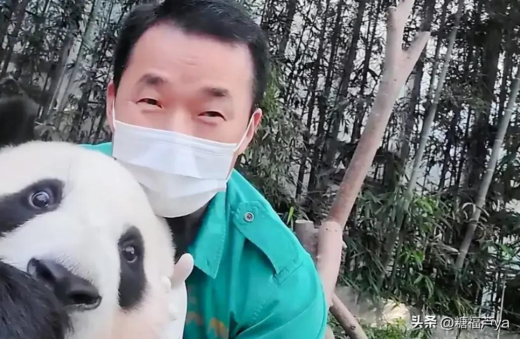 那些证明福宝是人的证据——毛皮大衣下是个小人精