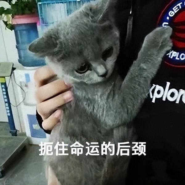 我出1万多、男友出16万给首付，购房合同写我名字，男友每月给我打钱还*款贷**，这房子属于谁？