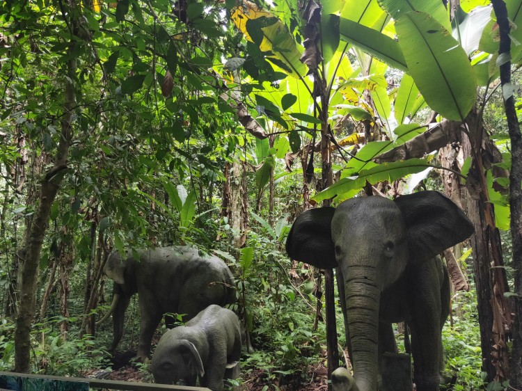 云南昆明西双版纳旅游攻略6日游,昆明西双版纳旅游攻略详细