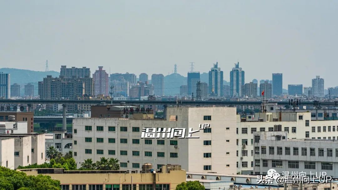 乐清虹桥强镇排行榜,乐清虹桥镇发达吗