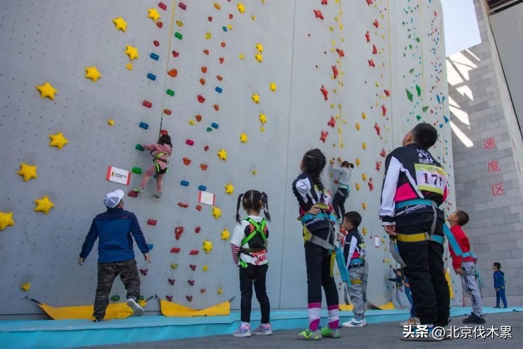 运动萌兽主题公园冬季,天气暖和了野地里撒欢