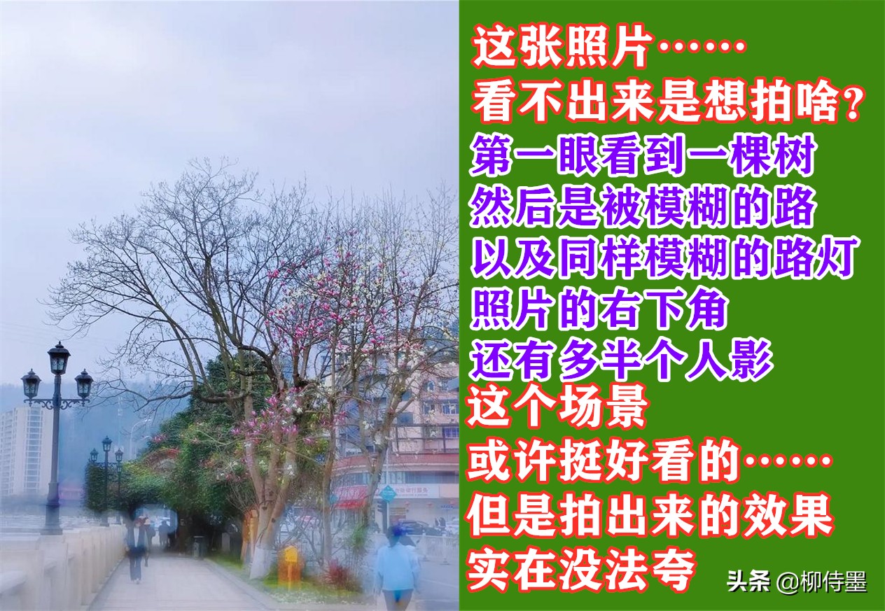 手机摄影照片细节拍摄技巧,手机摄影拍照的五大误区