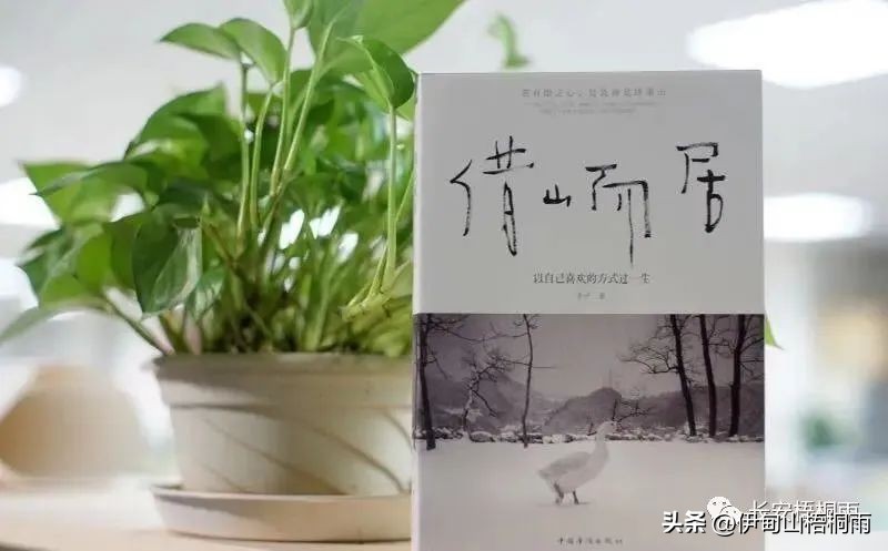 简单生活日记：《借山而居》读书笔记（一）