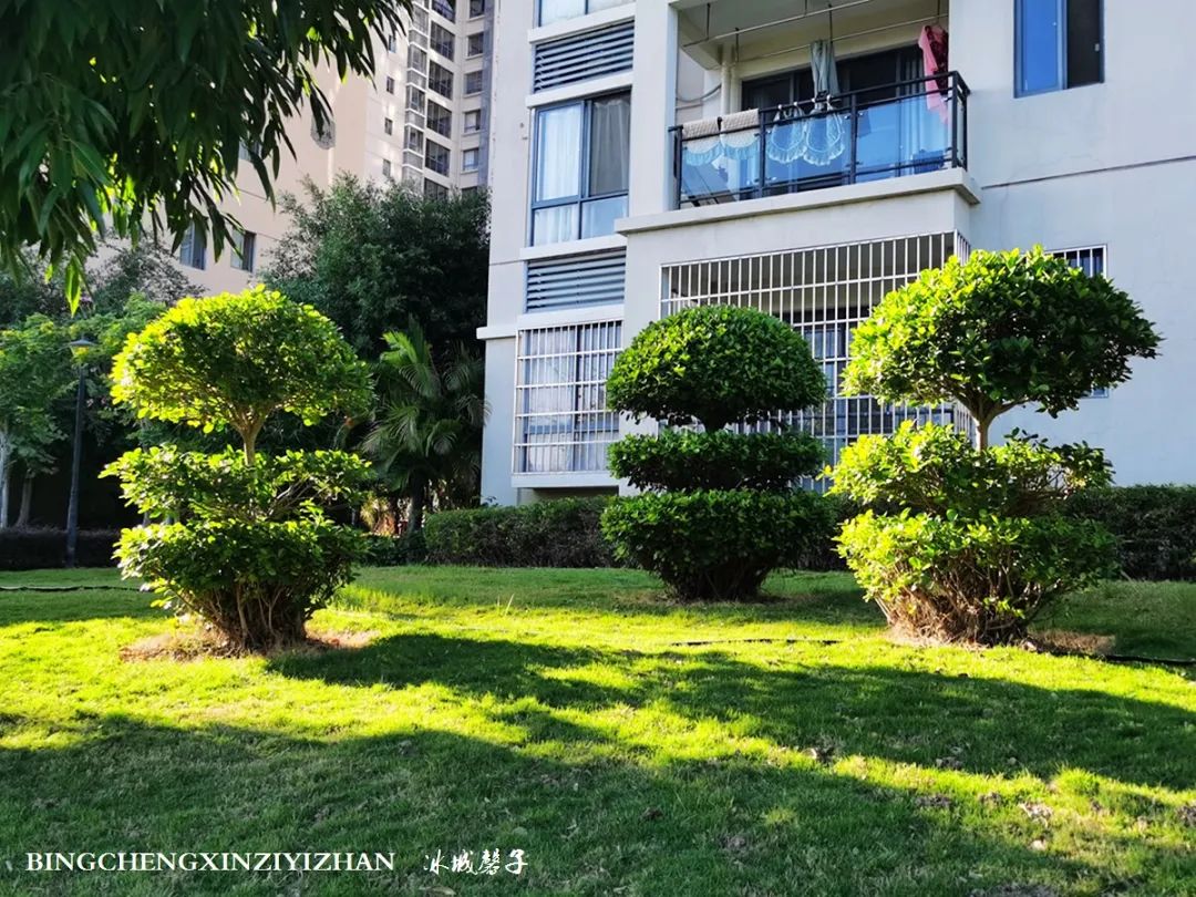 旅居海南：九所新区的浪漫情