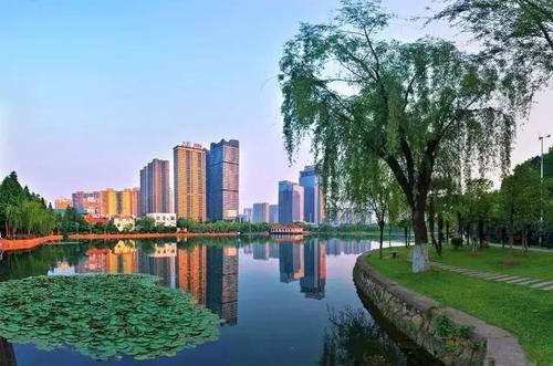 湖滨花园命案,湖滨花园怪事