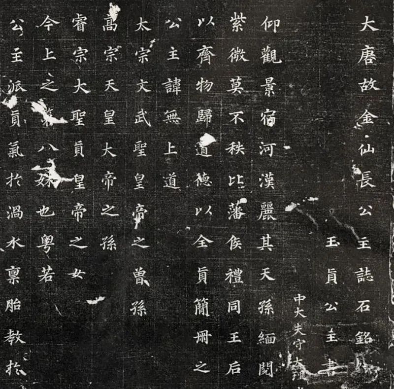 杨健君书法真迹,杨健君书法教程