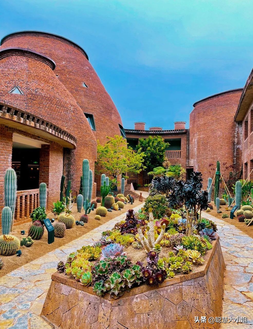 云南弥勒泡温泉最佳时间,云南弥勒物价怎样