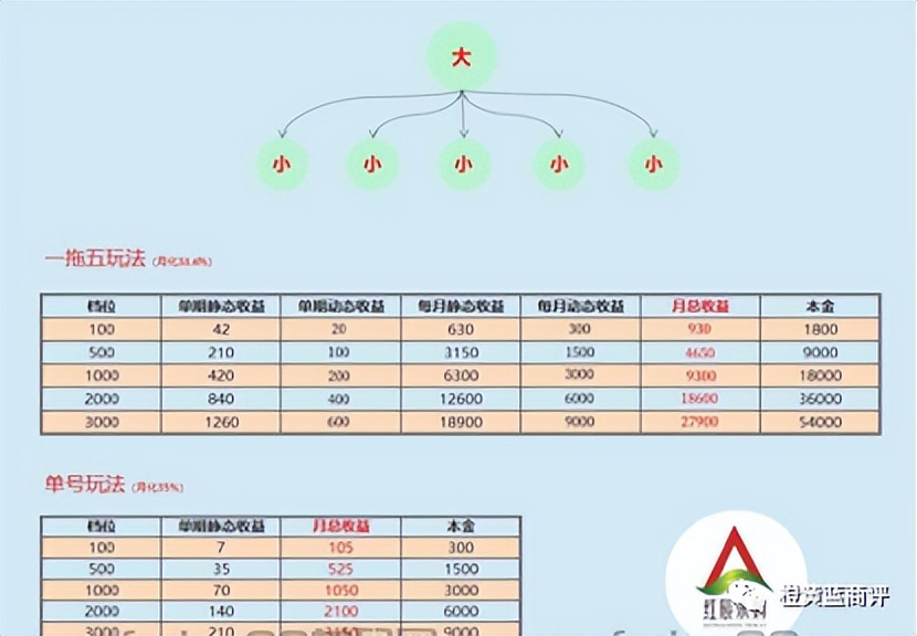 “红辰乐购”平台宣传“年入千万不是梦”？动静态模式遭质疑？