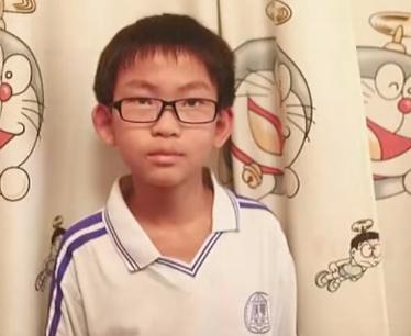 中国最小黑客，12岁因不想写作业黑掉学校网站