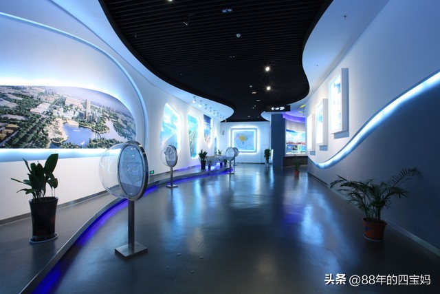 上海书院镇有哪些旅游景点,冬天上海周边城市旅游景点推荐