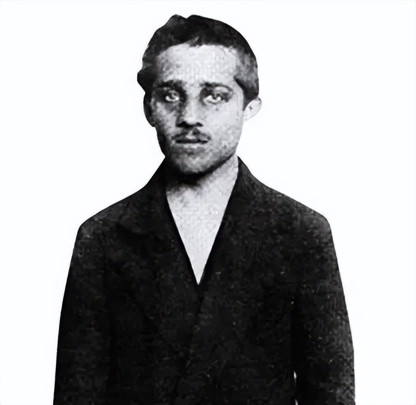 萨拉热窝事件中遇刺的奥地利王储,刺杀奥匈皇储的人是谁