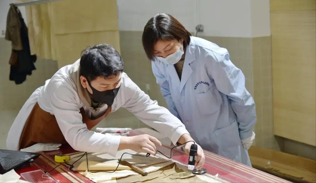 如何合理应对，*物文**的霉变生虫问题，是现阶段*物文**人员核心任务