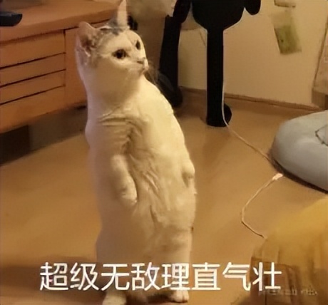 安卓谷歌浏览器调试,手机谷歌浏览器打开调试