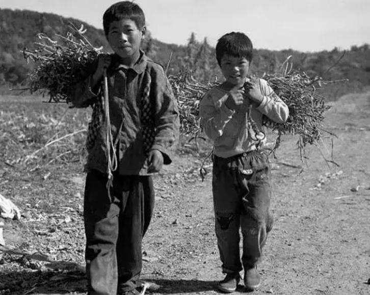 张世强浦江,浦江张世强诈骗案过程