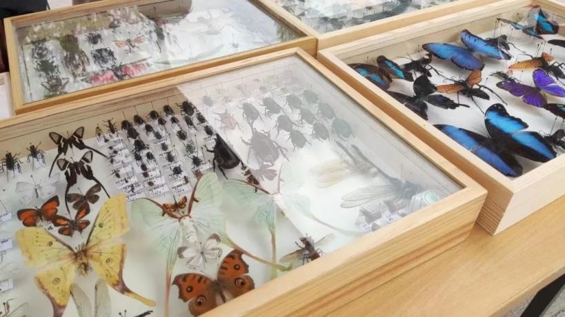 大学社团选哪个部门,大学社团组织怎么选