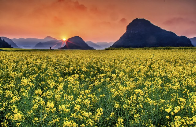 二十四节气谷雨的由来和习俗美篇,二十四节气谷雨动画视频完整