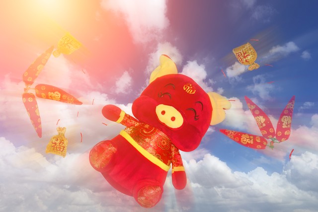 7月5号属猪的财运如何,1971年属猪的人怎样摆脱霉运