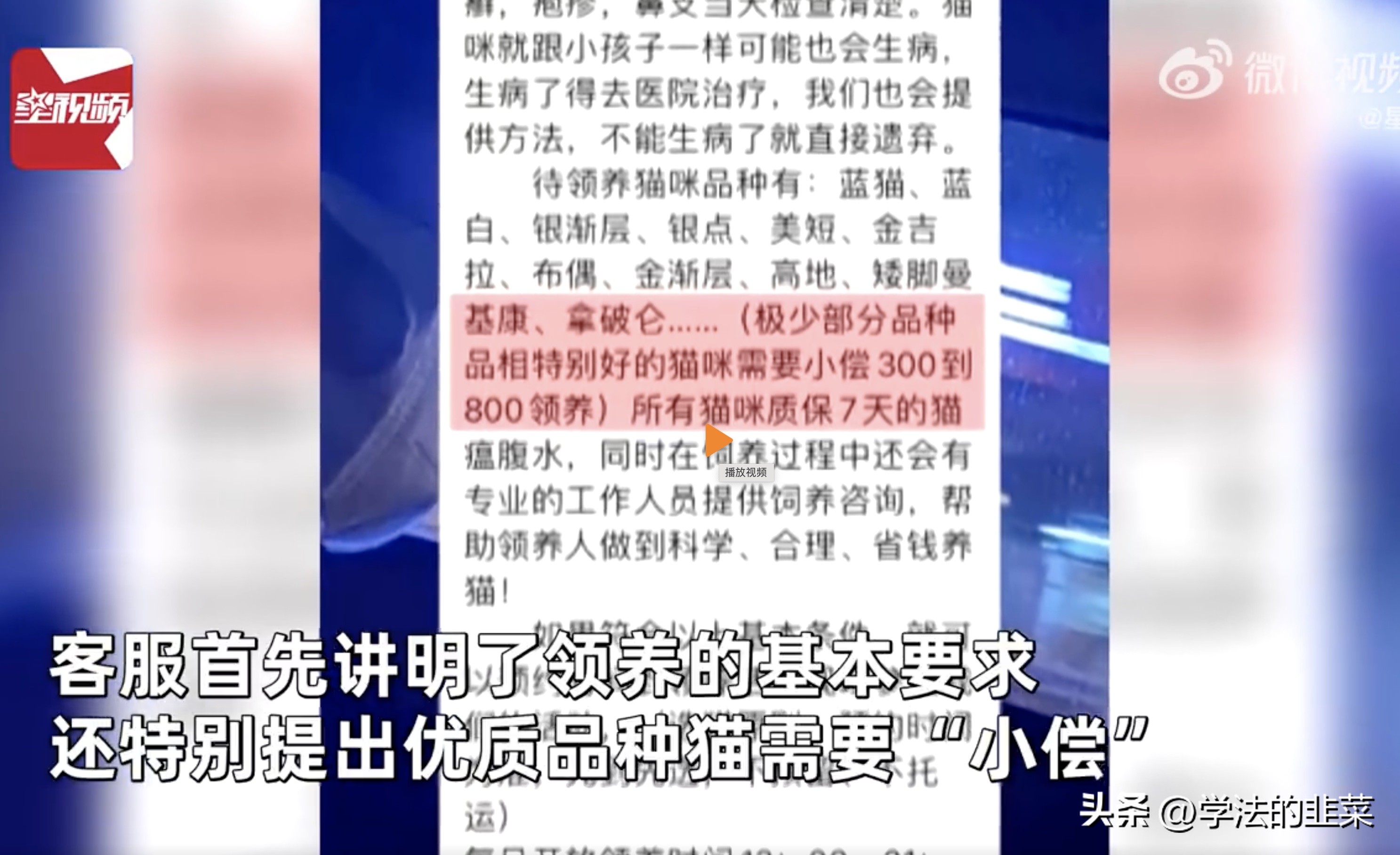 领养猫咪被起诉,领养猫咪买猫粮骗局可以举报嘛