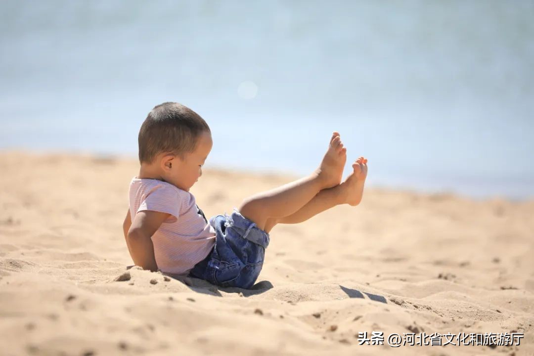 四种海岸线,4k超清海岸线风景