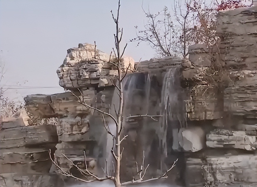 河北大叔遇天降横财，把各种水果种在花盆里，最贵一盆卖到几万元