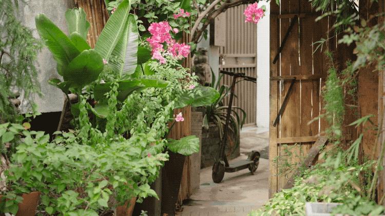 2个北大学霸，在房价10万一平的深圳市中心，造了80座花园