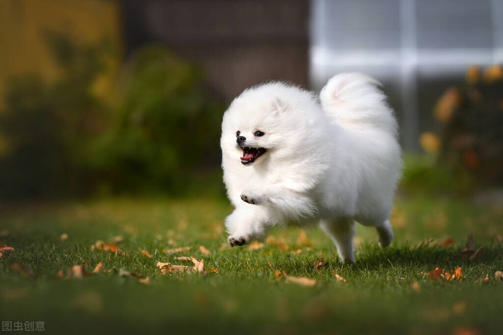 心理上如何缓解焦虑抑郁,面对心情抑郁如何接受改变