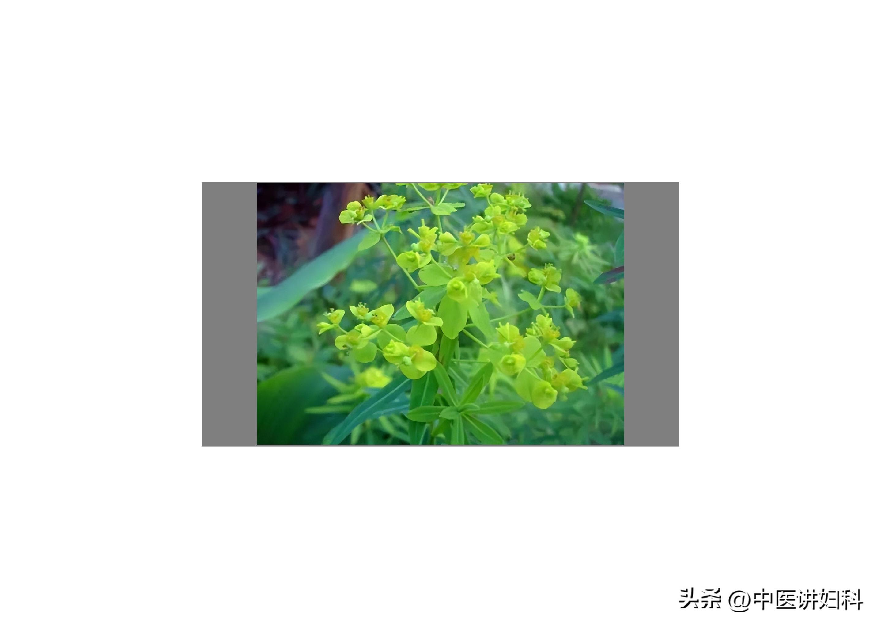 输卵管迂曲不用慌，无需着急手术、试管！这样自愈了！