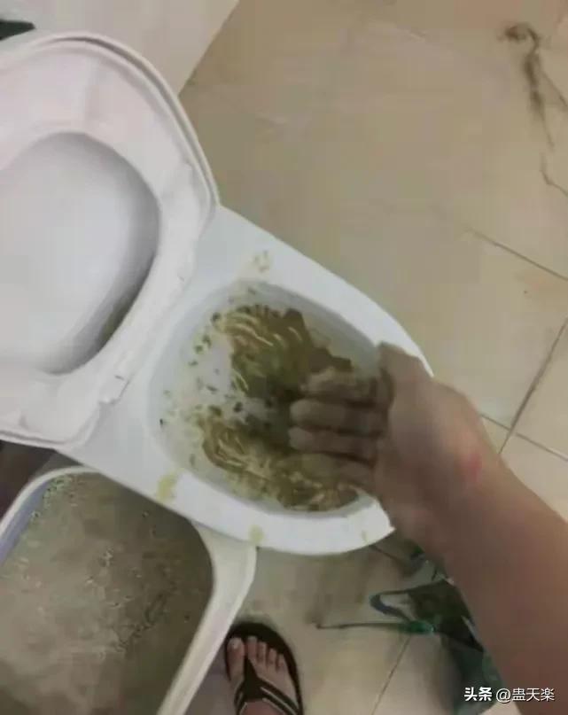 铲屎官忘记给猫咪放猫砂,铲屎官用猫砂盆上厕所