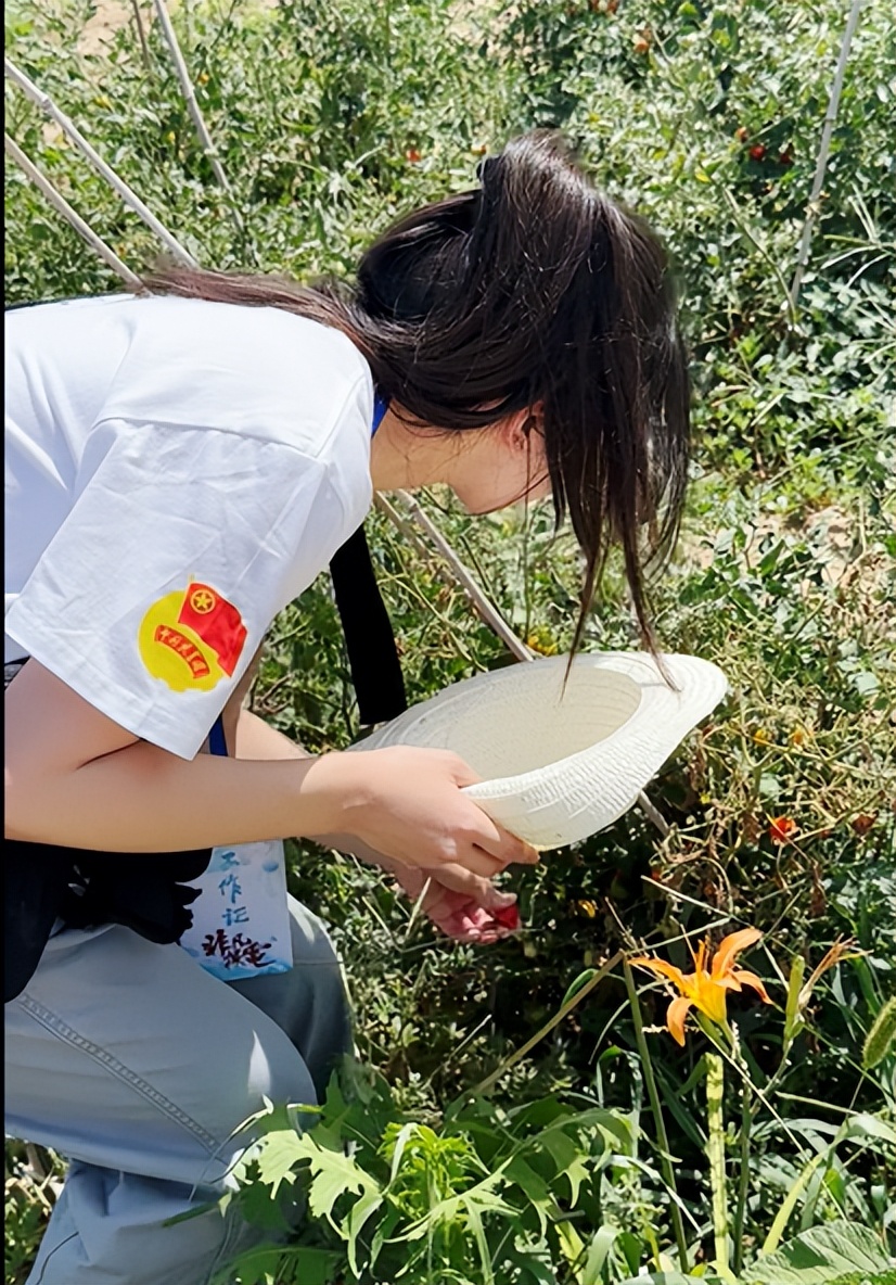 暑期实践日志200字,暑期实践日志十五篇大学生