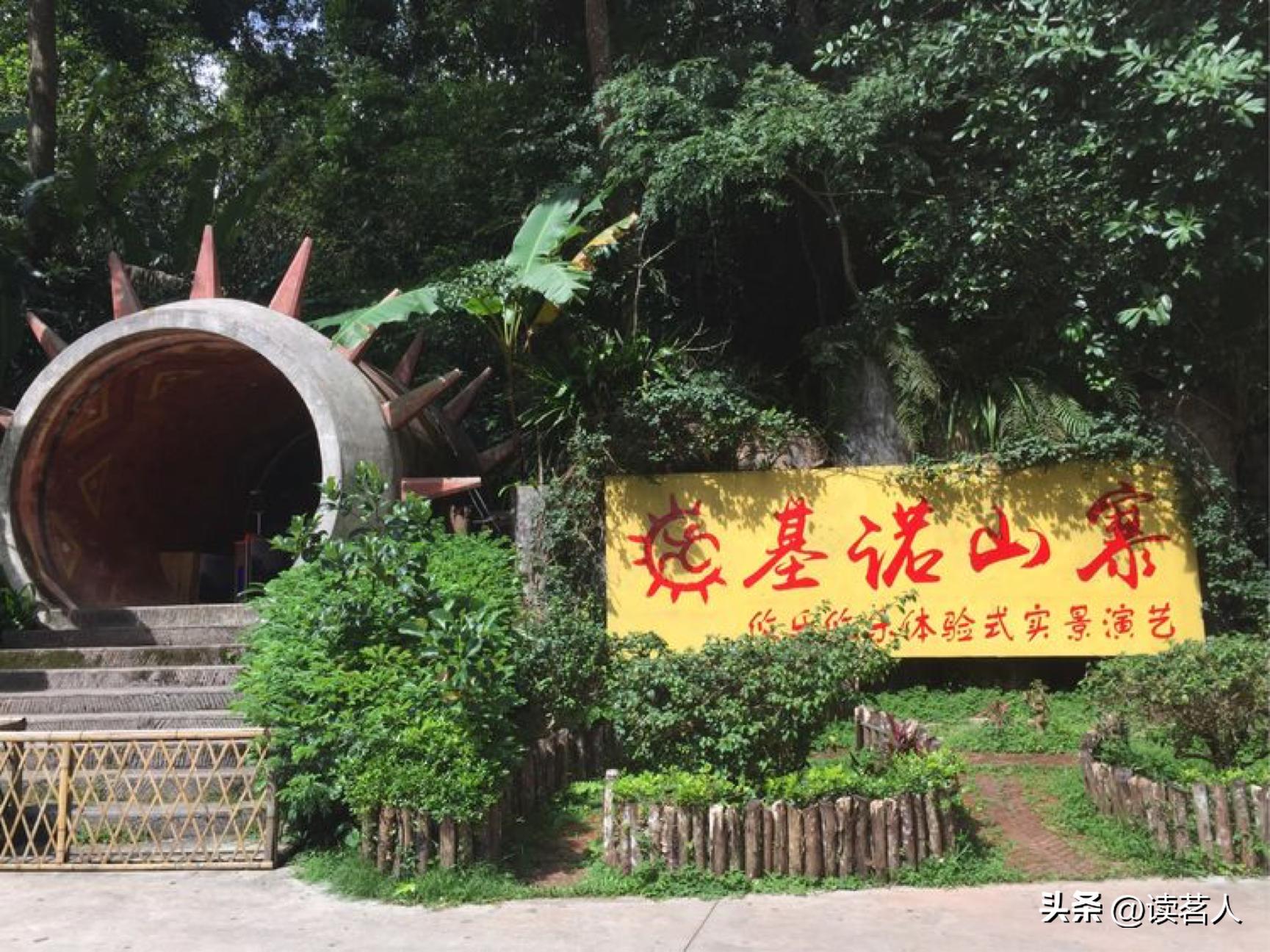 寻味云南普洱,寻味普洱生茶