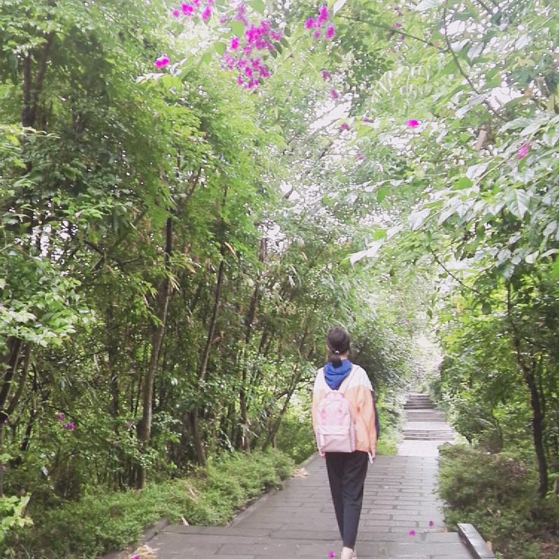 现在去贵州值得去吗旅游攻略,贵州旅游攻略五天自由行攻略