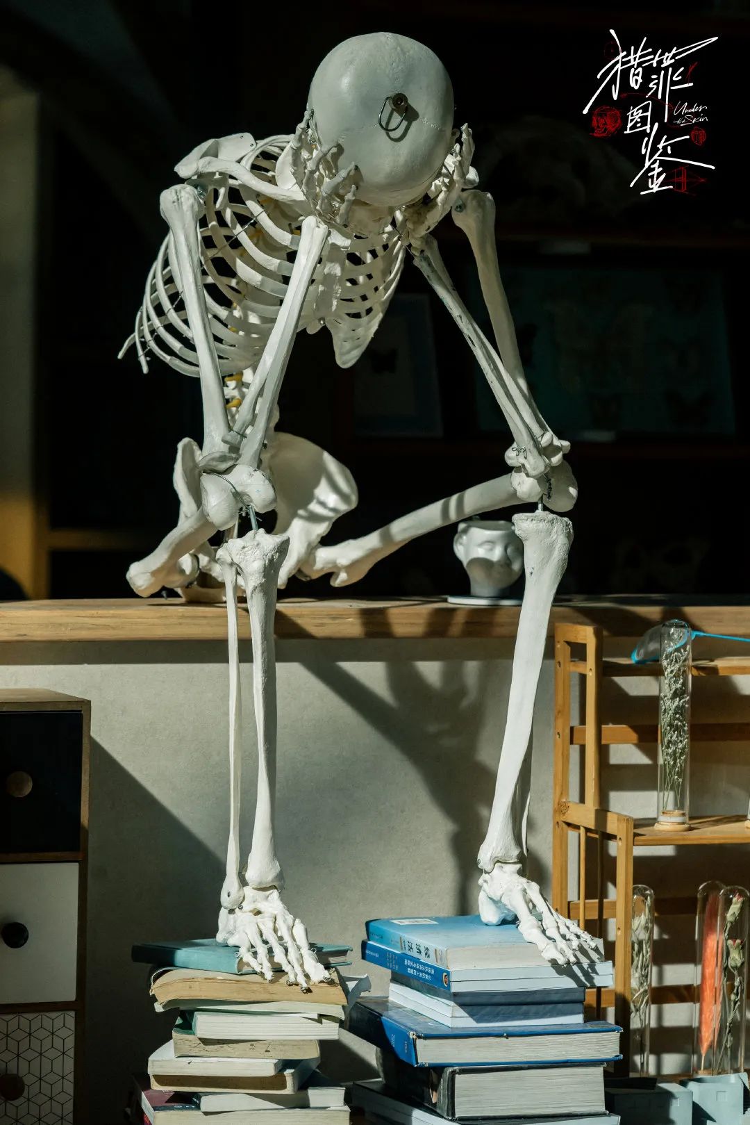 近十年最好看的十部国产剧,最值得看的十部国产剧推荐