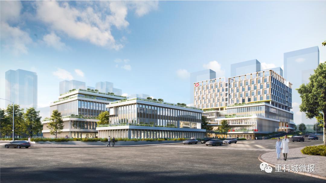 高新区人民医院中标公告,南阳市第一人民医院中标公告