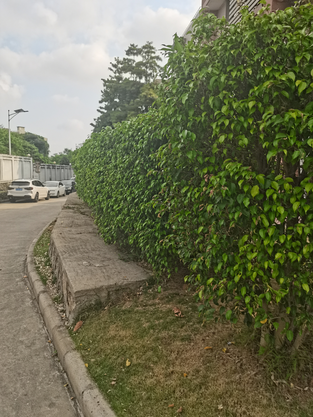 鍚戝墠璺戠殑椋庢櫙,璺戣捣鏉ョ殑椋庢櫙