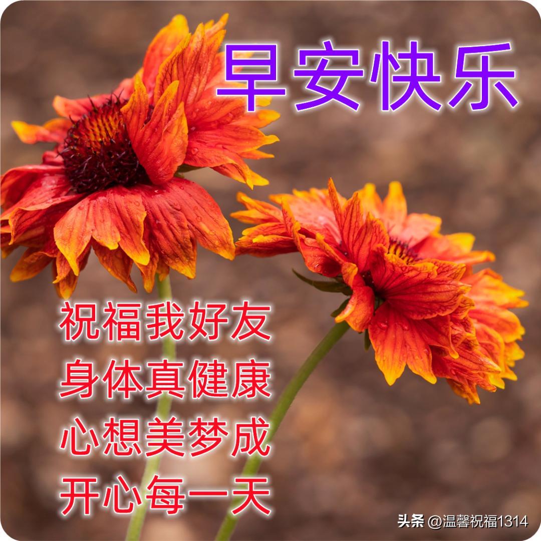 最新最美的早上好问候图片带字,早安问候图片2018年