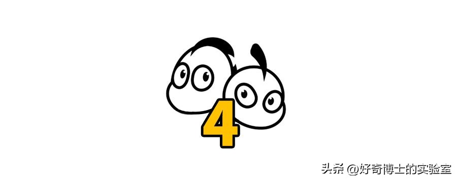 女生的胸，为什么忽软忽硬？（男生禁入）