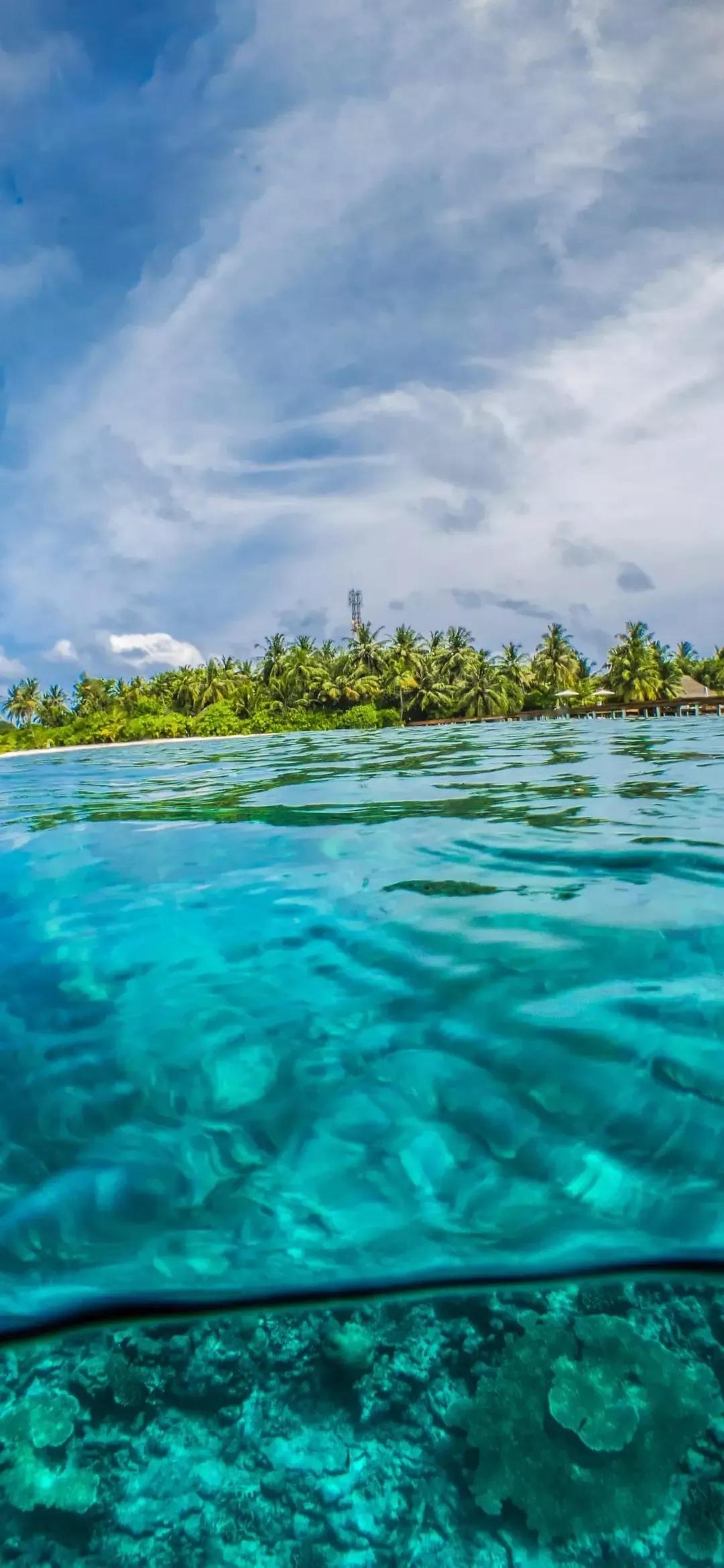大海壁纸｜大海边，守候朝霞，聆听海浪的乐章