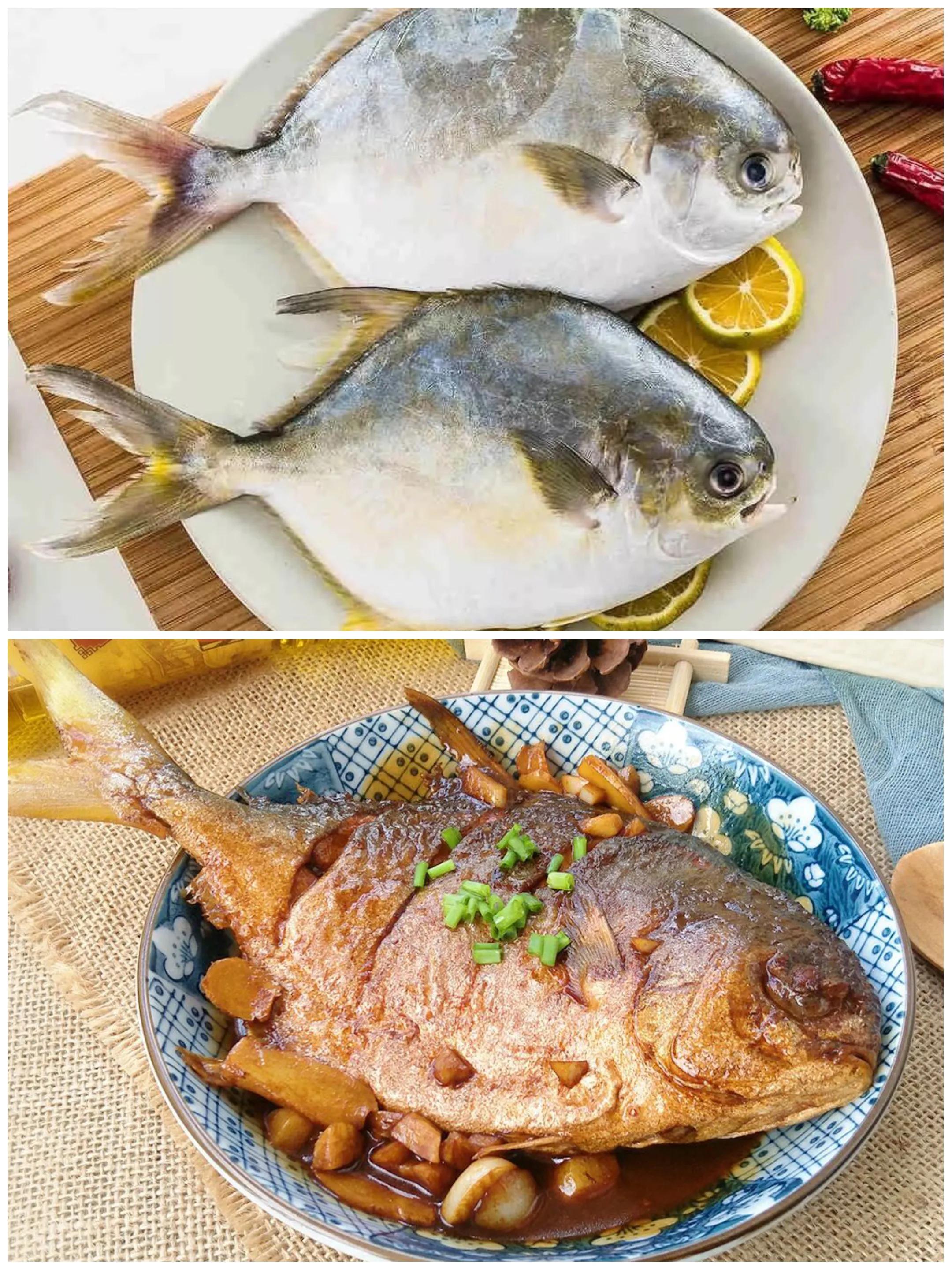 100种常见海鱼大全,常吃的海鱼图片及介绍