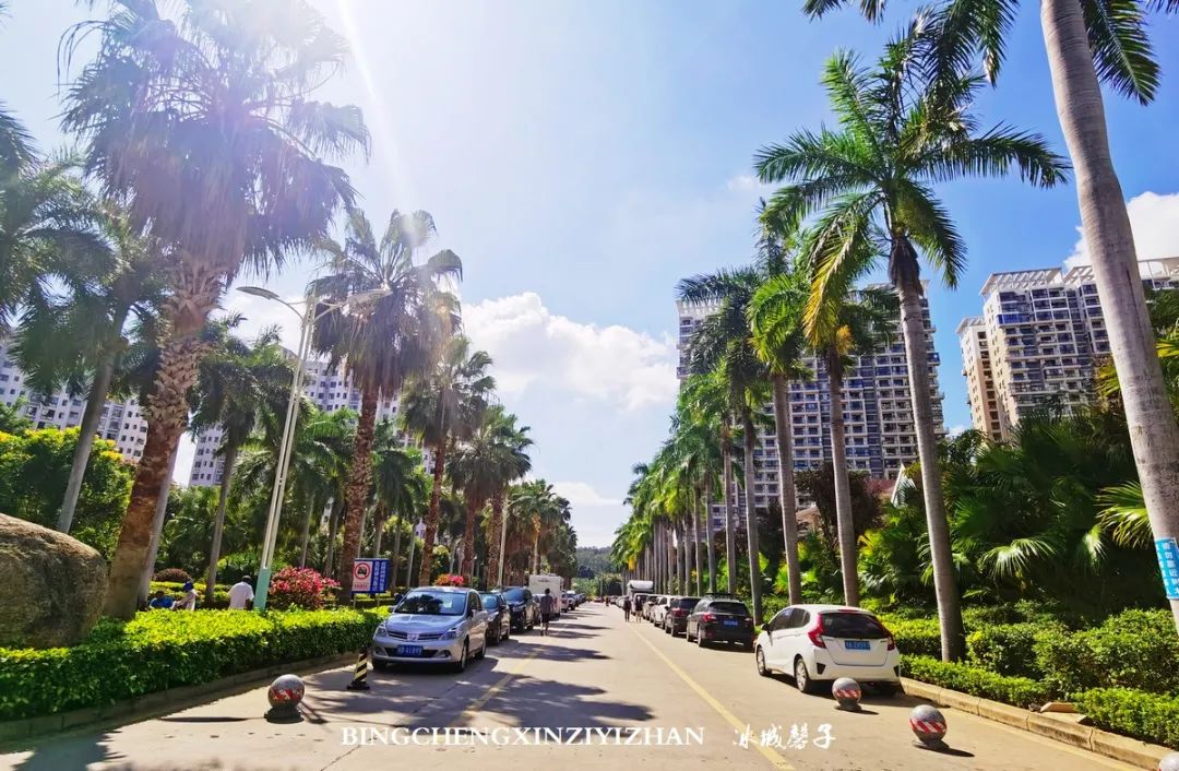 旅居海南：九所新区的浪漫情