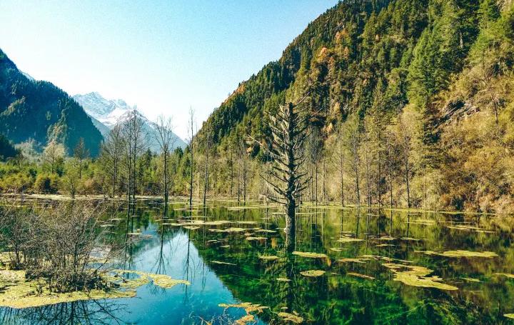 川西旅游攻略最佳线路川西小环线,川西旅游攻略一天最佳路线