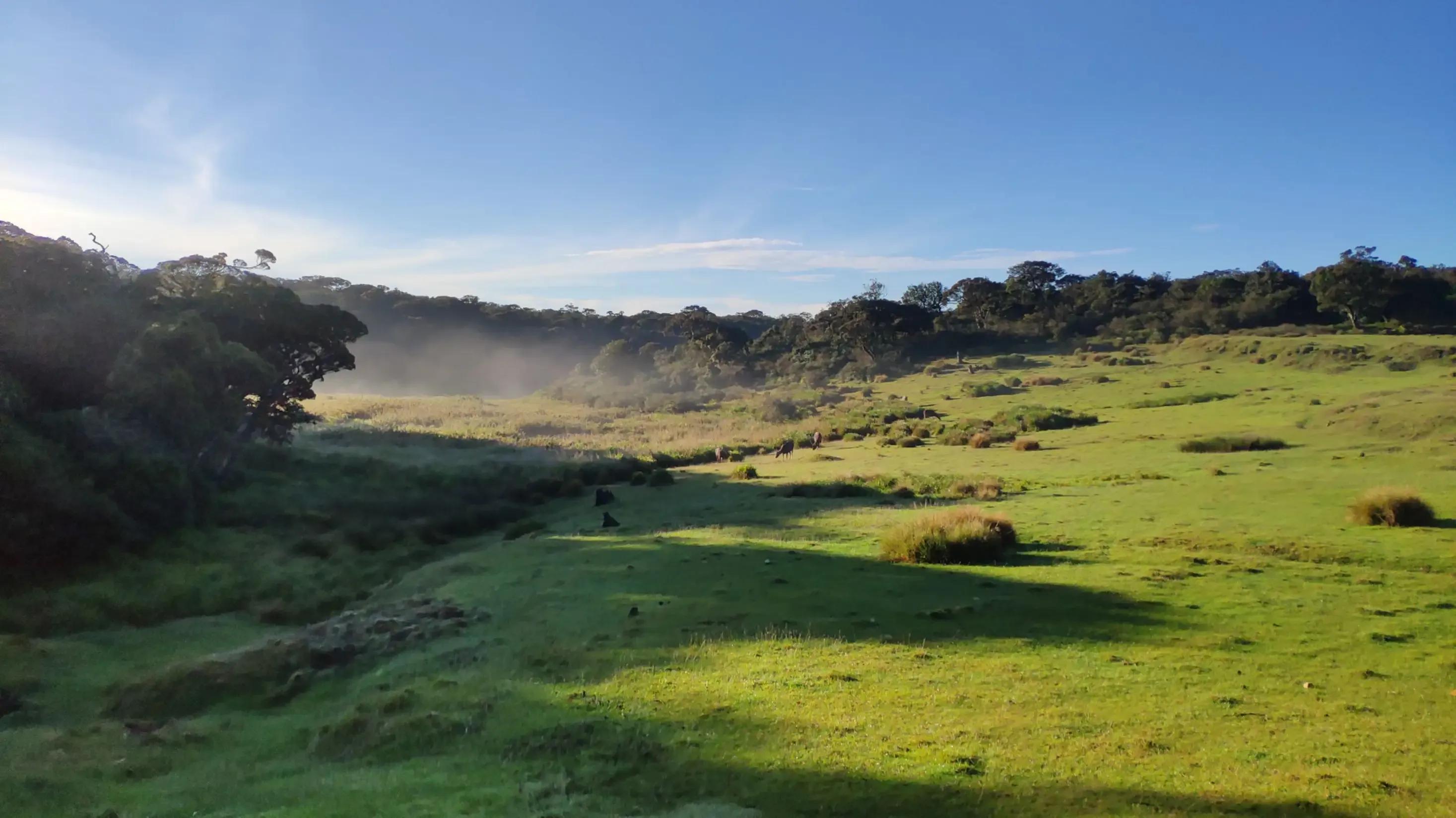 斯里兰卡观鲸可以去哪个景点,斯里兰卡旅游必去的景点图片
