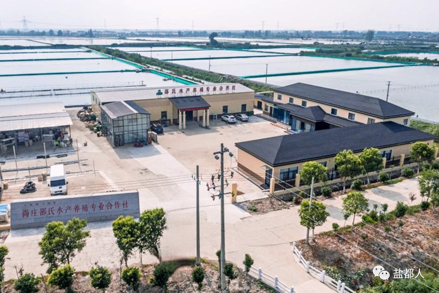 以振兴之笔擘画乡村发展画卷,以山水为笔绘好乡村振兴图