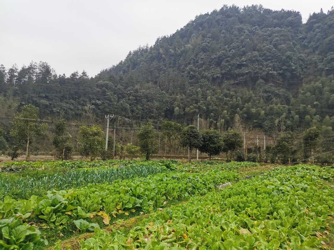 产科的严冬,产科医生寒冬