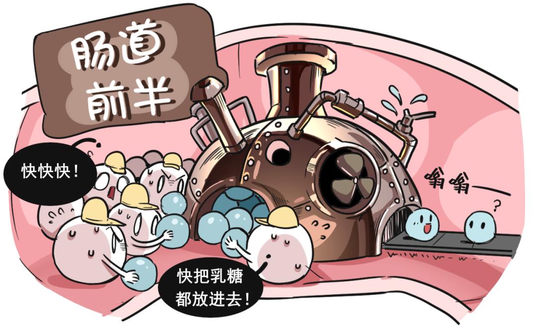 为什么不建议婴幼儿喝饮料,为什么不建议婴儿喝母乳