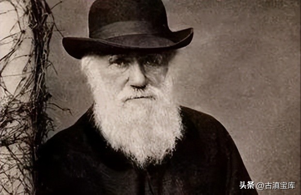 达尔文的进化论是物种起源吗,生物进化论与物种起源的关系